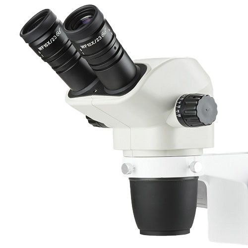 Tête binoculaire pour stéréomicroscope NexiusZoom-EVO, EUROMEX®